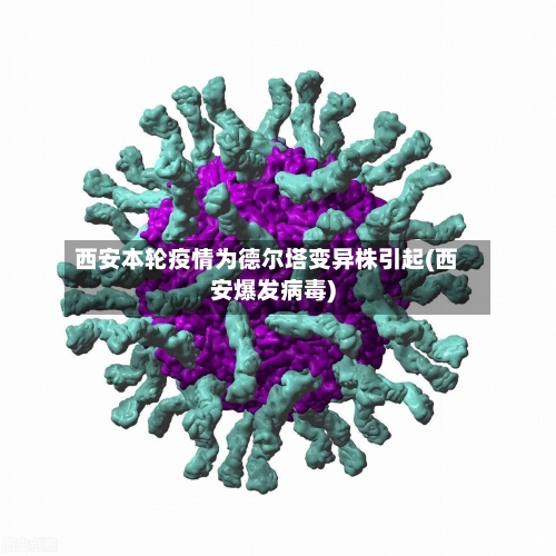 西安本轮疫情为德尔塔变异株引起(西安爆发病毒)