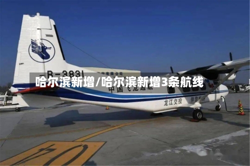 哈尔滨新增/哈尔滨新增3条航线