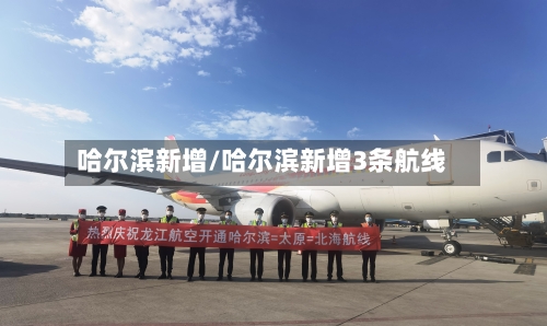 哈尔滨新增/哈尔滨新增3条航线-第2张图片