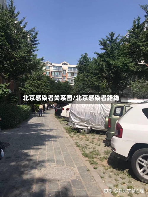 北京感染者关系图/北京感染者路线-第2张图片