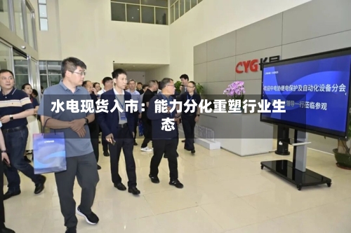 水电现货入市：能力分化重塑行业生态-第3张图片