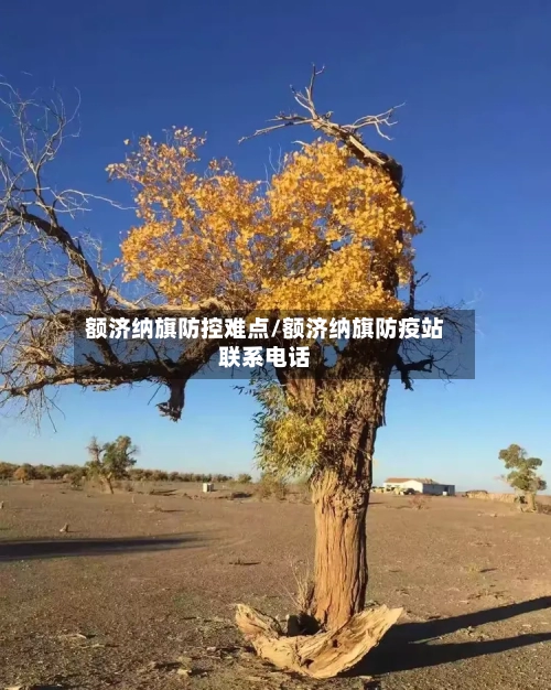 额济纳旗防控难点/额济纳旗防疫站联系电话