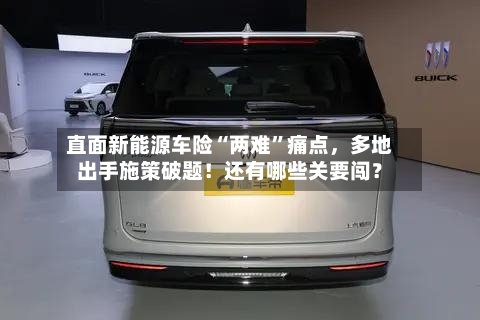 直面新能源车险“两难	”痛点，多地出手施策破题！还有哪些关要闯？-第2张图片