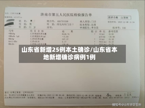 山东省新增25例本土确诊/山东省本地新增确诊病例1例