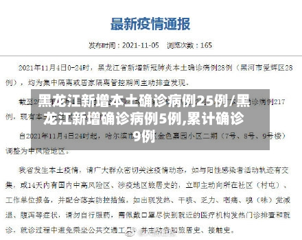 黑龙江新增本土确诊病例25例/黑龙江新增确诊病例5例,累计确诊9例