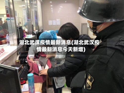 湖北武汉疫情最新消息(湖北武汉疫情最新消息今天新增)-第2张图片