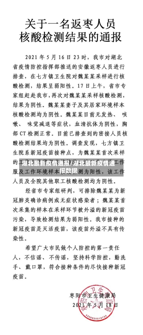湖北最新疫情通报/湖北最新疫情通报数据-第2张图片