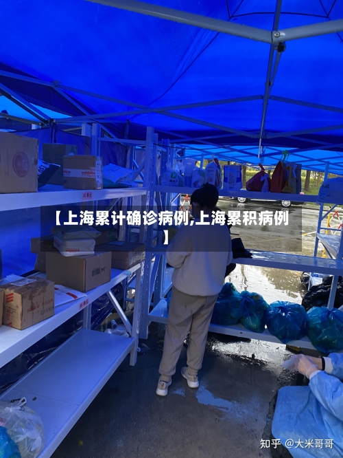 【上海累计确诊病例,上海累积病例】