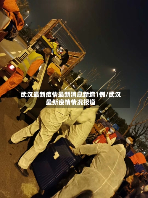 武汉最新疫情最新消息新增1例/武汉最新疫情情况报道-第2张图片