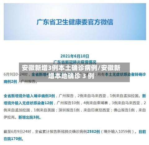 安徽新增3例本土确诊病例/安徽新增本地确诊 3 例