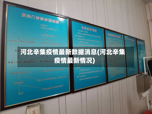 河北辛集疫情最新数据消息(河北辛集疫情最新情况)