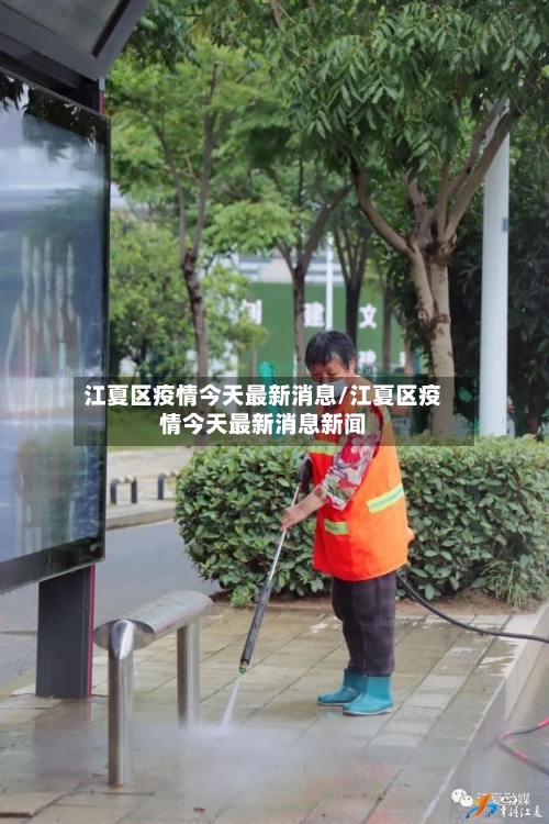 江夏区疫情今天最新消息/江夏区疫情今天最新消息新闻