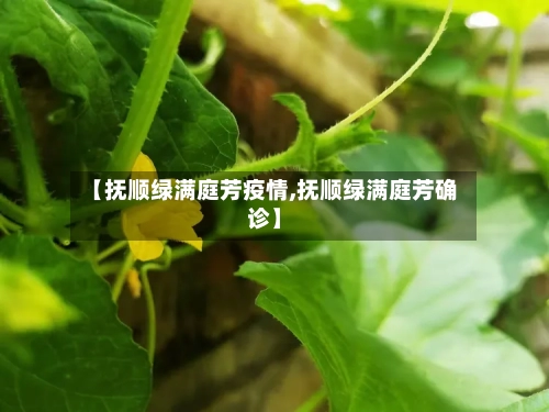 【抚顺绿满庭芳疫情,抚顺绿满庭芳确诊】