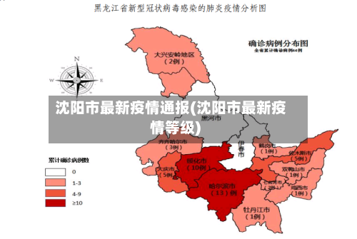沈阳市最新疫情通报(沈阳市最新疫情等级)