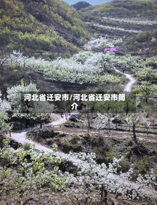河北省迁安市/河北省迁安市简介