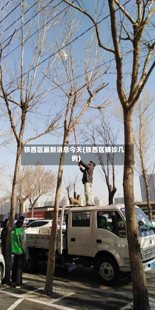 铁西区最新消息今天(铁西区确诊几例)