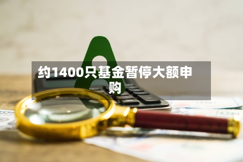 约1400只基金暂停大额申购-第2张图片