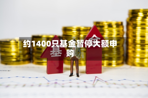 约1400只基金暂停大额申购-第3张图片