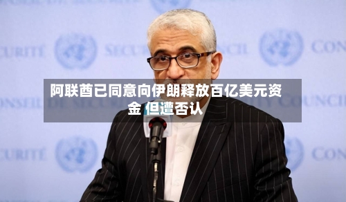 阿联酋已同意向伊朗释放百亿美元资金 但遭否认