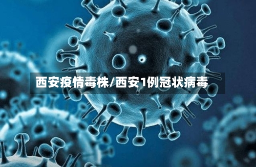 西安疫情毒株/西安1例冠状病毒