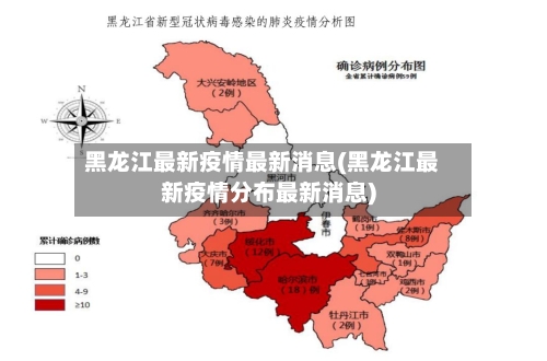 黑龙江最新疫情最新消息(黑龙江最新疫情分布最新消息)-第3张图片