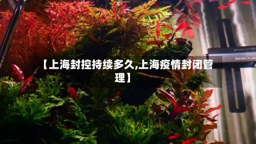 【上海封控持续多久,上海疫情封闭管理】