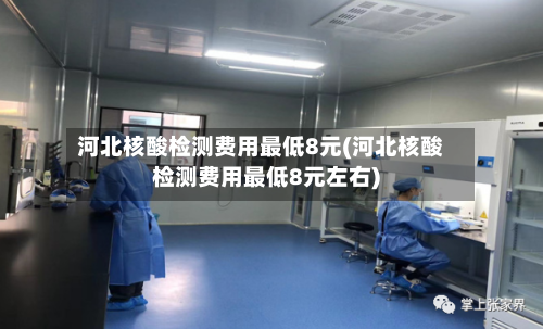 河北核酸检测费用最低8元(河北核酸检测费用最低8元左右)