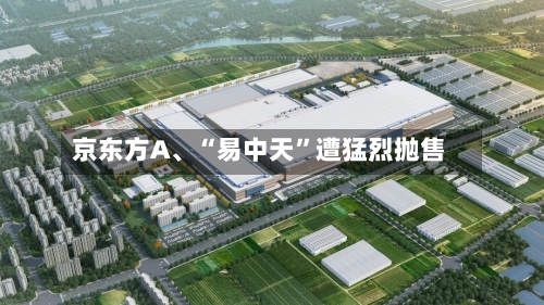 京东方A、“易中天”遭猛烈抛售-第2张图片