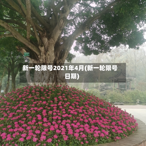 新一轮限号2021年4月(新一轮限号日期)-第2张图片