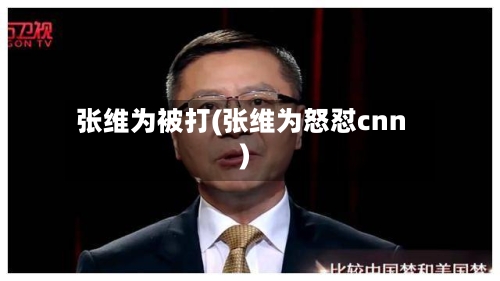 张维为被打(张维为怒怼cnn)-第2张图片