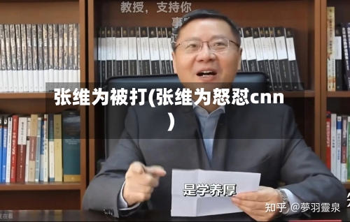 张维为被打(张维为怒怼cnn)-第3张图片