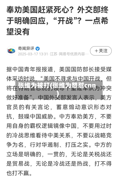 张维为被打(张维为怒怼cnn)