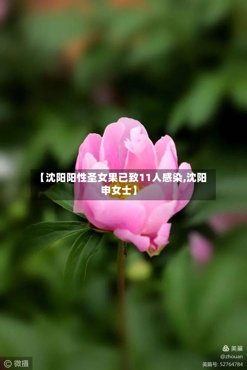 【沈阳阳性圣女果已致11人感染,沈阳申女士】