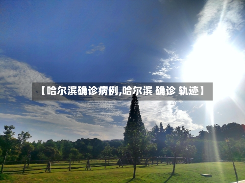 【哈尔滨确诊病例,哈尔滨 确诊 轨迹】