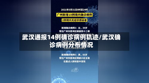 武汉通报14例确诊病例轨迹/武汉确诊病例分布情况