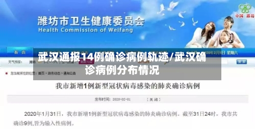 武汉通报14例确诊病例轨迹/武汉确诊病例分布情况-第2张图片