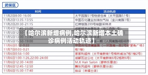 【哈尔滨新增病例,哈尔滨新增本土确诊病例活动轨迹】-第2张图片
