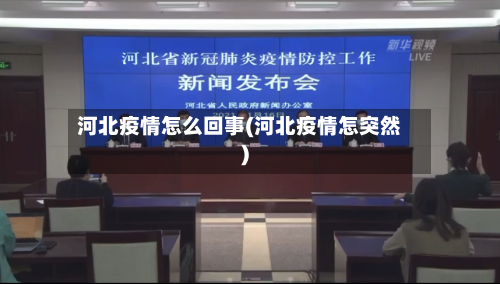 河北疫情怎么回事(河北疫情怎突然)-第3张图片