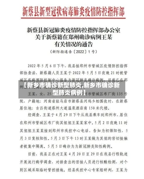 【新乡市确诊新型肺炎,新乡市确诊新型肺炎病例】-第2张图片