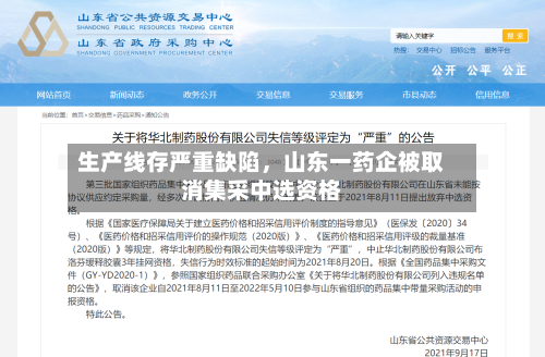生产线存严重缺陷，山东一药企被取消集采中选资格-第2张图片