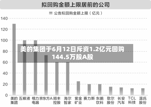美的集团于6月12日斥资1.2亿元回购144.5万股A股-第2张图片