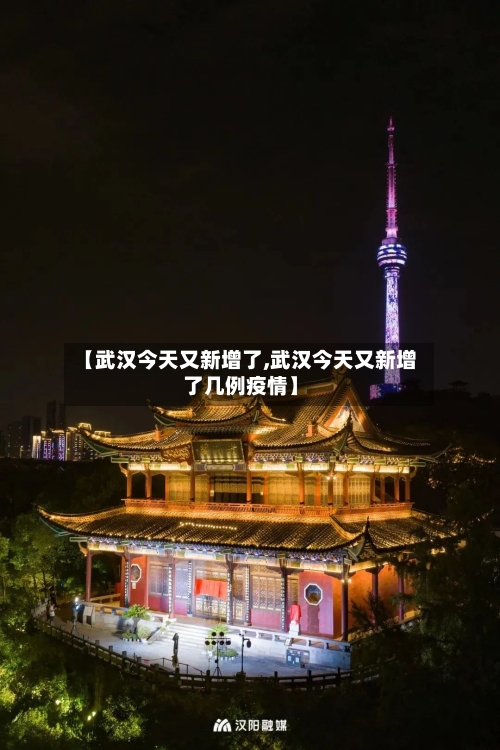 【武汉今天又新增了,武汉今天又新增了几例疫情】