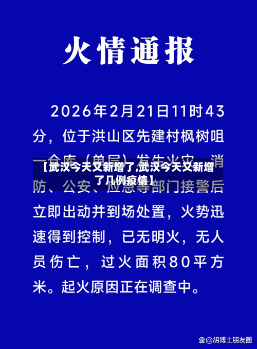 【武汉今天又新增了,武汉今天又新增了几例疫情】-第3张图片