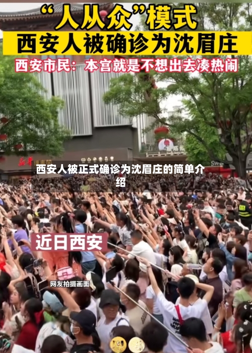 西安人被正式确诊为沈眉庄的简单介绍-第3张图片