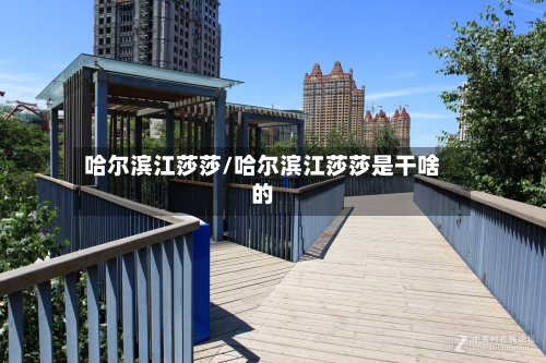 哈尔滨江莎莎/哈尔滨江莎莎是干啥的