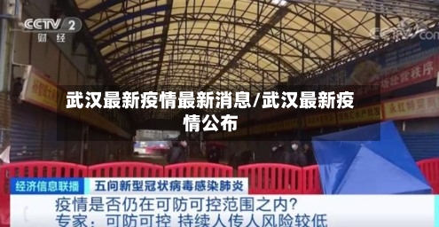 武汉最新疫情最新消息/武汉最新疫情公布