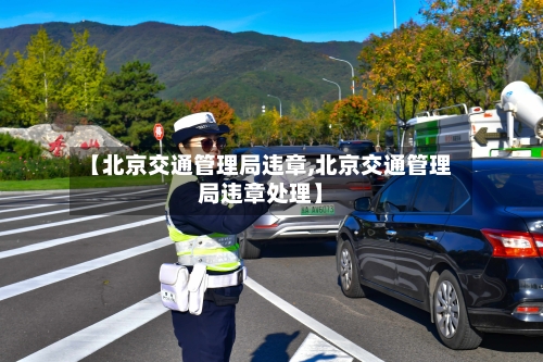 【北京交通管理局违章,北京交通管理局违章处理】-第3张图片
