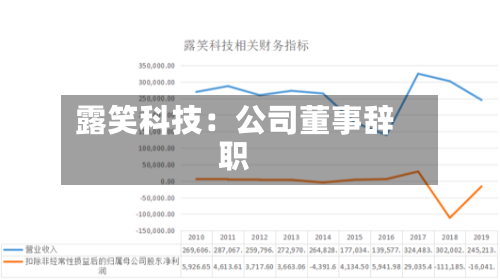 露笑科技：公司董事辞职-第2张图片