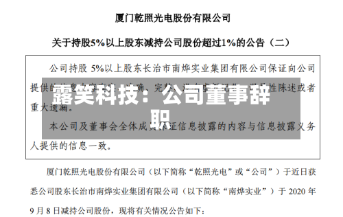 露笑科技：公司董事辞职