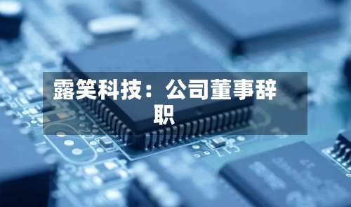 露笑科技：公司董事辞职-第3张图片